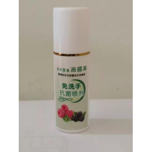 東南西北西國草免洗手消毒液